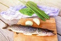 Fresh pike with onions and herbs on the cutting Board. Raw fish prepared for cooking Royalty Free Stock Photo