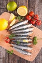 Fresh pilchard Royalty Free Stock Photo