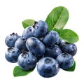 Fresh Pile of Blueberries with Green Leaves Royalty Free Stock Photo