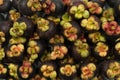 Fresh pile Mangosteen from Rayong Thailand use for background de