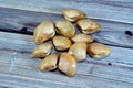 Fresh pile of sea food clams, mussels, oysters and also called gandofly gandofli and it's several kinds of bivalve molluscs