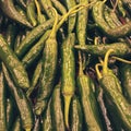 Fresh Pile Of Spicy Green Chili Pepper