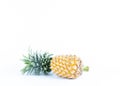 Fresh pinapple fruits on white backgrounds with copy space for y