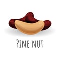 Fresh pine nut icon, cartoon style Royalty Free Stock Photo