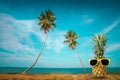 Fresh pineapple on the beach, Fashion hipster pineapple, Bright summer color, Tropical fruit with sunglasses Royalty Free Stock Photo