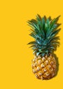 Fresh Pineapple on Blank Yellow Background with Copy space Royalty Free Stock Photo
