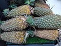 Fresh pineapple collection with closeup view Royalty Free Stock Photo