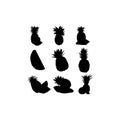 fresh pineapple collection set silhouette design Royalty Free Stock Photo