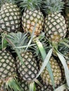 Fresh pineapple contains high vitamin C