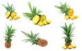 Fresh pineapple Cut half Royalty Free Stock Photo