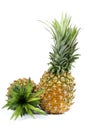 Fresh pineapple fruit with cut and green leaves Royalty Free Stock Photo