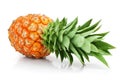 Fresh pineapple fruit with cut and green leaves Royalty Free Stock Photo