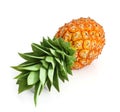 Fresh pineapple fruit with cut and green leaves Royalty Free Stock Photo