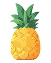 Fresh pineapple, fruit eating and tropical refreshment