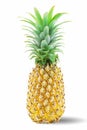 Fresh pineapple fruit isolated on white background Royalty Free Stock Photo