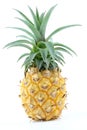 Fresh pineapple fruit isolated on a white background closeup Royalty Free Stock Photo