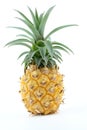 Fresh pineapple fruit isolated on a white background closeup Royalty Free Stock Photo