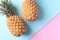 Fresh pineapple fruit on pastel color background Royalty Free Stock Photo