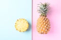 Fresh pineapple fruit on pastel color background Royalty Free Stock Photo