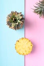 Fresh pineapple fruit on pastel color background, Tropical fruit Royalty Free Stock Photo