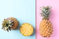 Fresh pineapple fruit on pastel color background, Tropical fruit Royalty Free Stock Photo