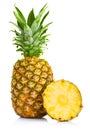 Fresh pineapple fruits with cut and green leaves isolated on white Royalty Free Stock Photo