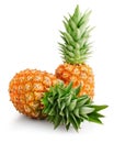 Fresh pineapple fruits with green leaves