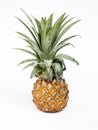 Fresh pineapple isolated on white Royalty Free Stock Photo
