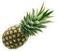 Fresh pineapple isolated Royalty Free Stock Photo