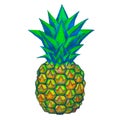 Fresh Pineapple isolated on white background. Hand-drawn oil pastel illustration for t-shirts, banners, posters etc