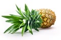 Fresh pineapple isolated on white Royalty Free Stock Photo