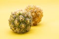 fresh pineapple isolated on yellow background, Fruits rich in vitamin C