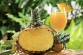Fresh pineapple juice Royalty Free Stock Photo