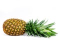 Fresh pineapple is lying on a white background Royalty Free Stock Photo