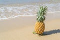 Fresh Pineapple on the sandy beac Royalty Free Stock Photo