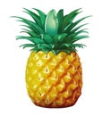 Fresh pineapple slice, juicy and ripe Royalty Free Stock Photo