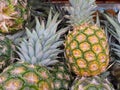 Pineapple sold in the market