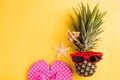 Fresh pineapple in sunglasses with starfish and slipper Royalty Free Stock Photo