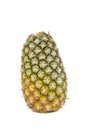 Fresh pineapple on white backgound Royalty Free Stock Photo