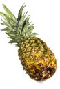 Fresh pineapple on white background, cut on half and whole pineapple, ananas Royalty Free Stock Photo