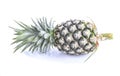 Fresh pineapple on white background - fruits and vegetables Royalty Free Stock Photo