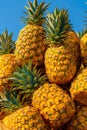 Fresh pineapples in baskets beachside fruit stand warehouse with blue sky tropical vacation vibes