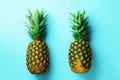 Fresh pineapples on blue background. Top View. Pop art design, creative concept. Copy Space. Bright pineapple pattern