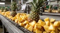 Fresh pineapples on conveyor belt in tropical fruit processing factory Royalty Free Stock Photo