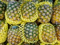 Fresh pineapples cushioning in foam net on shelves ready to sell in the supermarket. tropical fruit product on sale