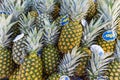 Fresh pineapples fruits at a local market, background, texture Royalty Free Stock Photo