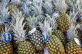 Fresh pineapples fruits at a local market, background, texture Royalty Free Stock Photo