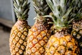 fresh organic pineapples