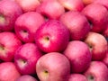 Fresh pink apples sale on the market or in the supermarket.