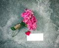 Fresh pink carnation flower and blank card for copy space over r Royalty Free Stock Photo